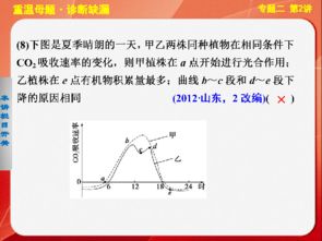 光合作用與細(xì)胞呼吸 基礎(chǔ)查漏補(bǔ)缺與典例剖析